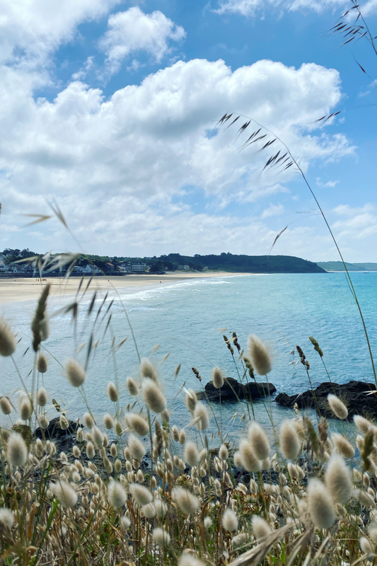 La Côte de Penthièvre, écrin de lumière